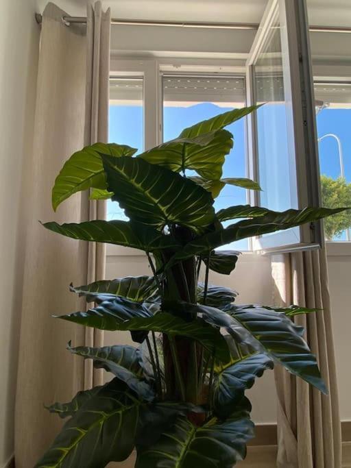 Sea Escape 2 Apartment Almuñécar Екстериор снимка